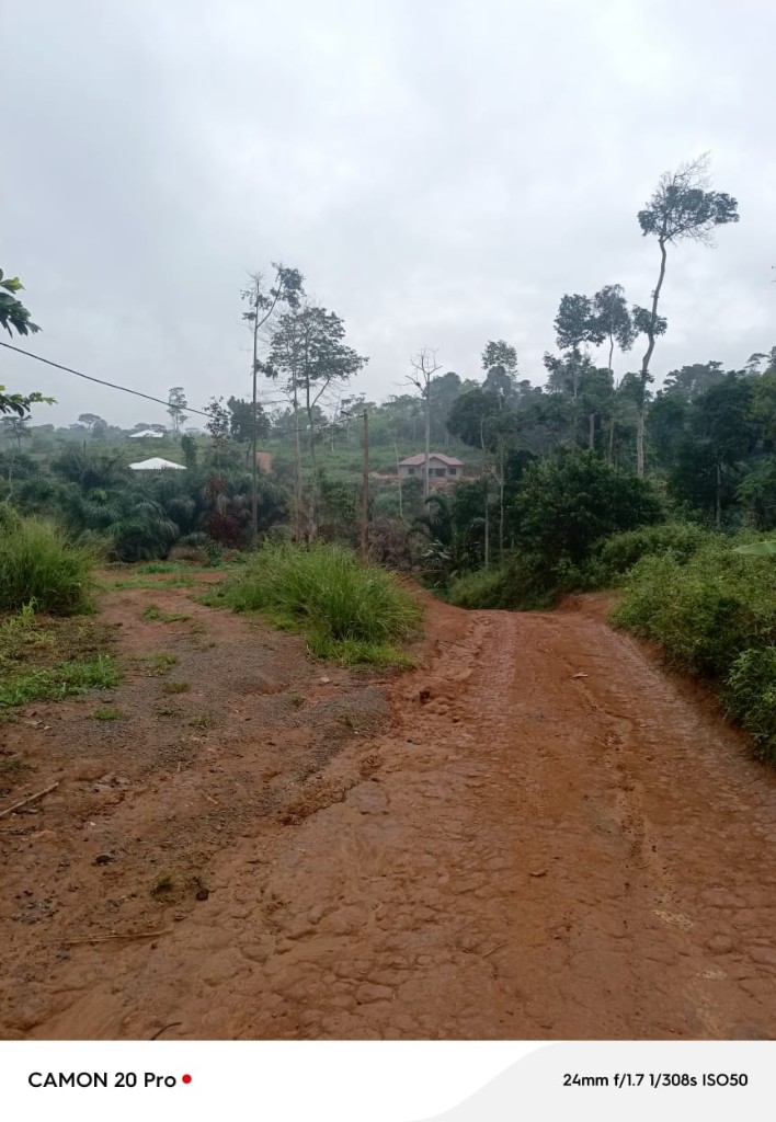 Terrains à vendre dans la localité d'Afanoyo